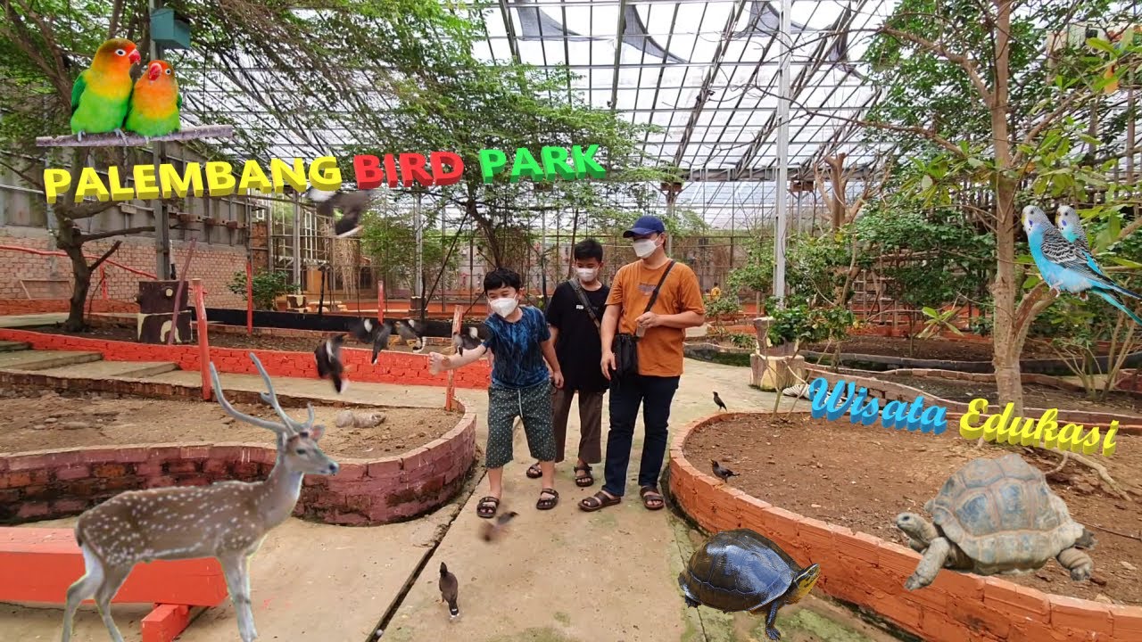 Palembang Bird Park, Wisata Edukasi Burung & Hewan Yang Menyenangkan