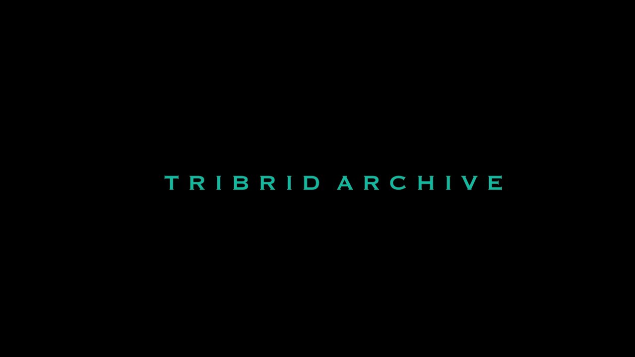 NUL. / TRIBRID ARCHIVE teaser
