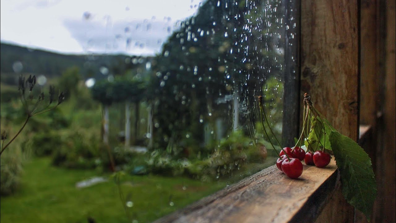 Cam Kenarında Yağan Yağmur 🌧️ | 20 Dakika Derin Uyku & Rahatlama