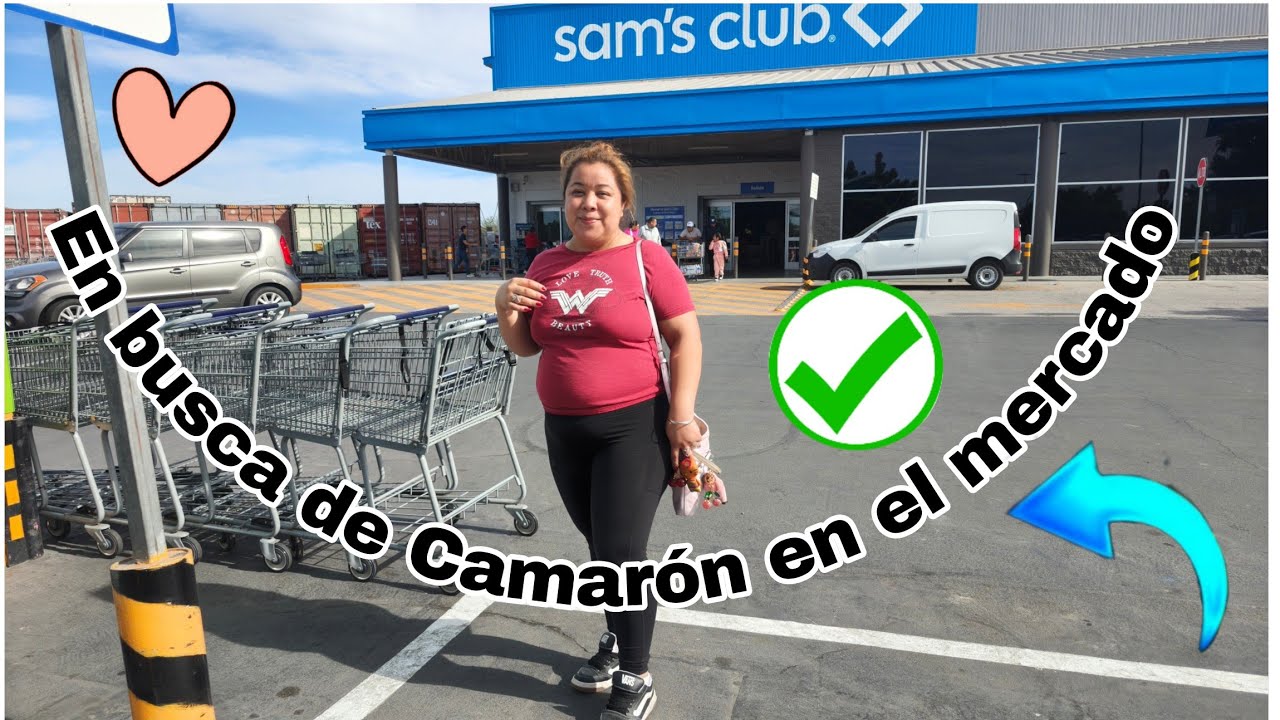 Compras para la comida 🛒 🍤 sembrando mis plantas 🩷 preferidas 🌱🪏🌷🌷