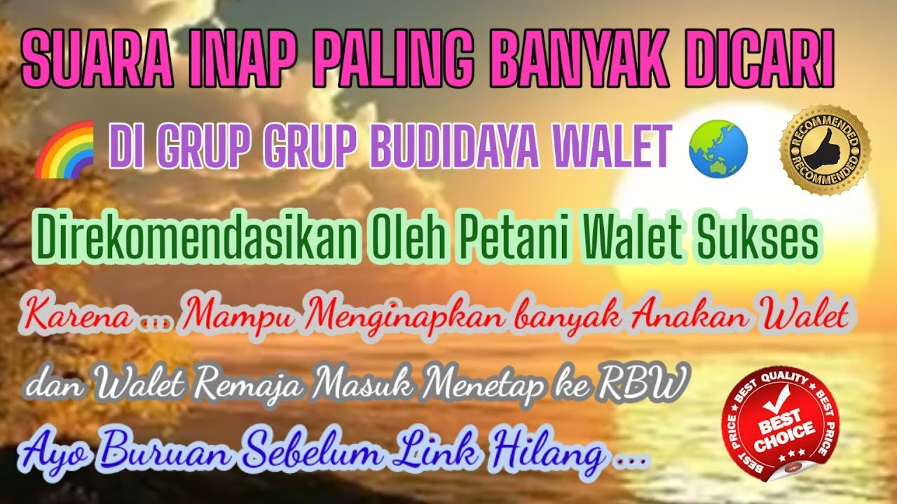 SI  PALING BANYAK DICARI || Suara Walet RBW Sukses