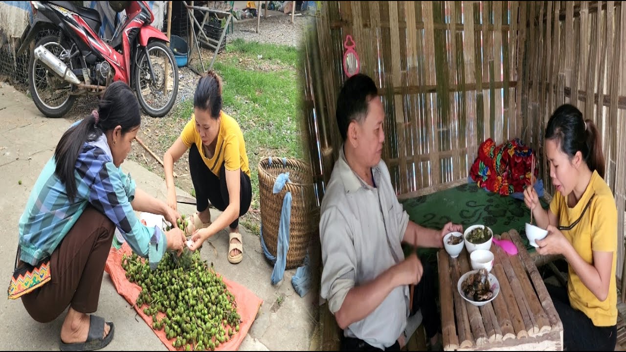 Harvesting figs to sell at the market - Cooking - Soaking sour bamboo shoots - Rural life