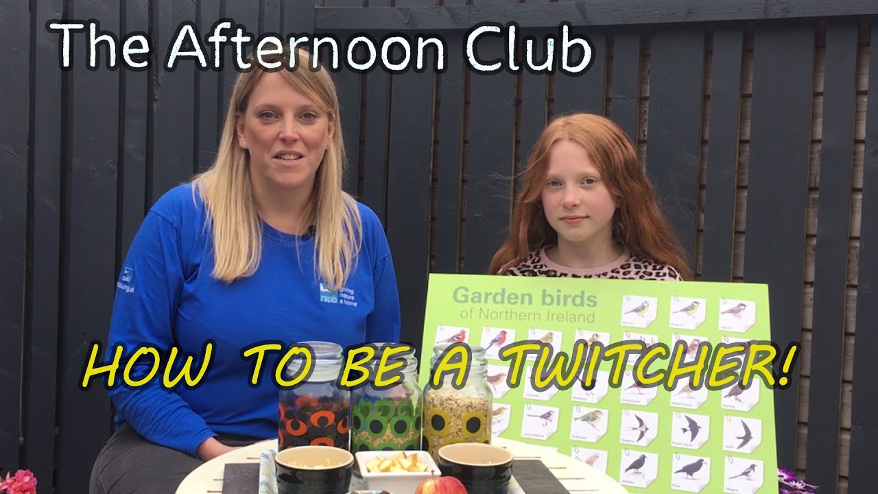 Birds &ndash; How to be a 