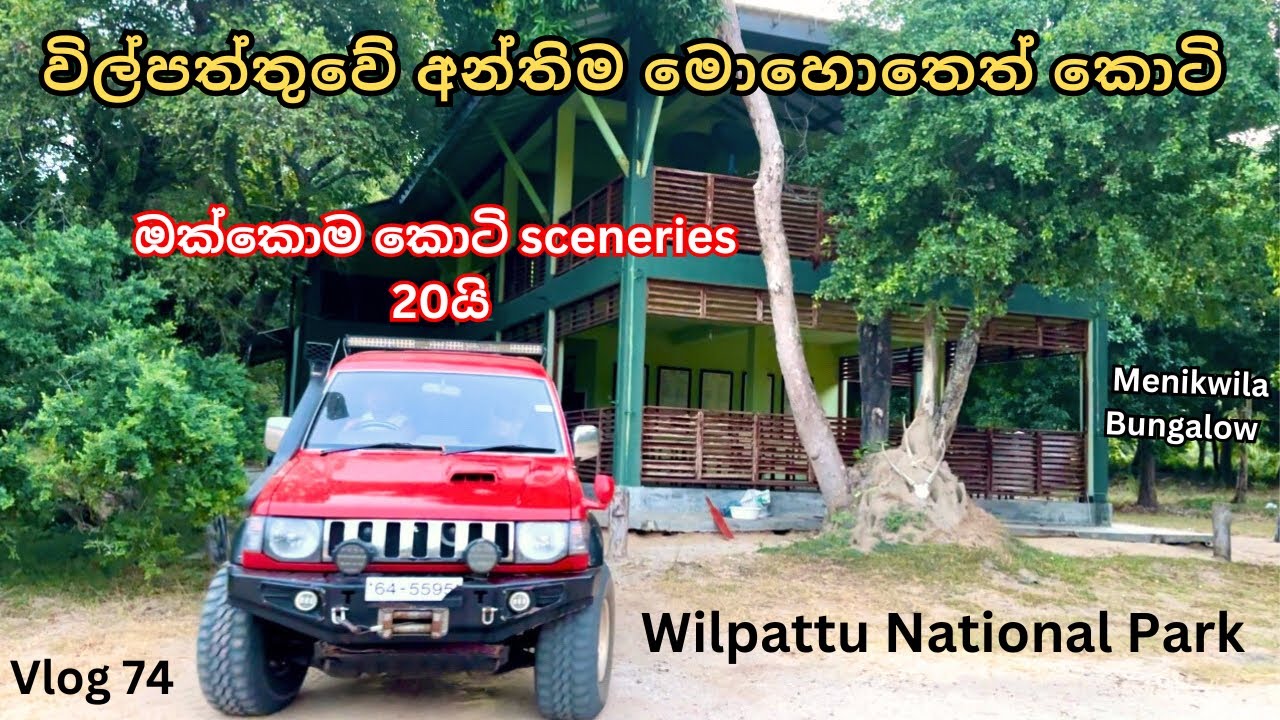 Day 04 | ගෙදර එන දවසෙත් කොටියෝ දැක්කා | Wilpattu National Park Sri Lanka 🇱🇰 | Rajanganaya Tank