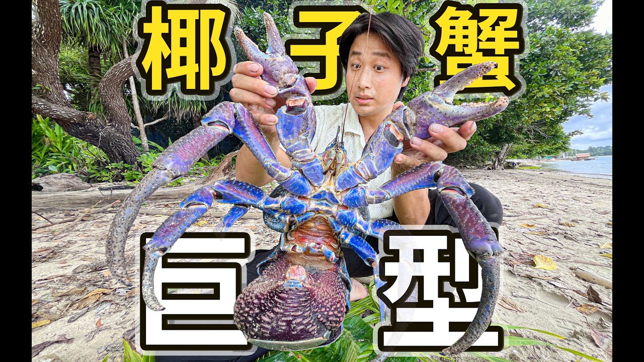300美金1公斤的椰子蟹，吃起來居然這個味道！｜Coconut crabs that cost $300 per kilogram actually taste like this !