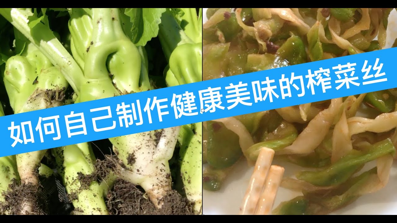 28）如何制作健康美味的榨菜丝（榨菜）