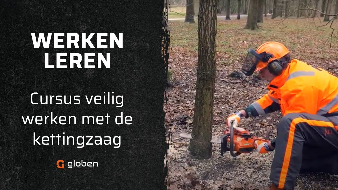 Cursus veilig werken met de kettingzaag | Werken & leren