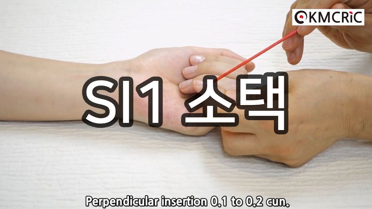 SI1 소택 少澤 Shaoze (Eng sub) - KMCRIC WHO Standard acupoint DB