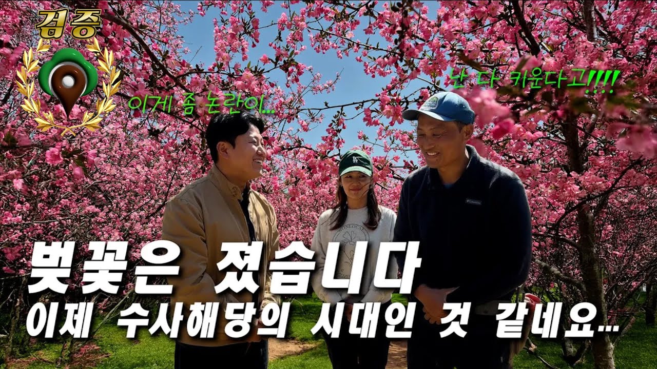 수사해당 꽃과 해당화 종류 정확한 정리, 제발 혼돈하지 마세요! ft.수사, 서부, 개수사?, 겹수사? [나무부자팜]