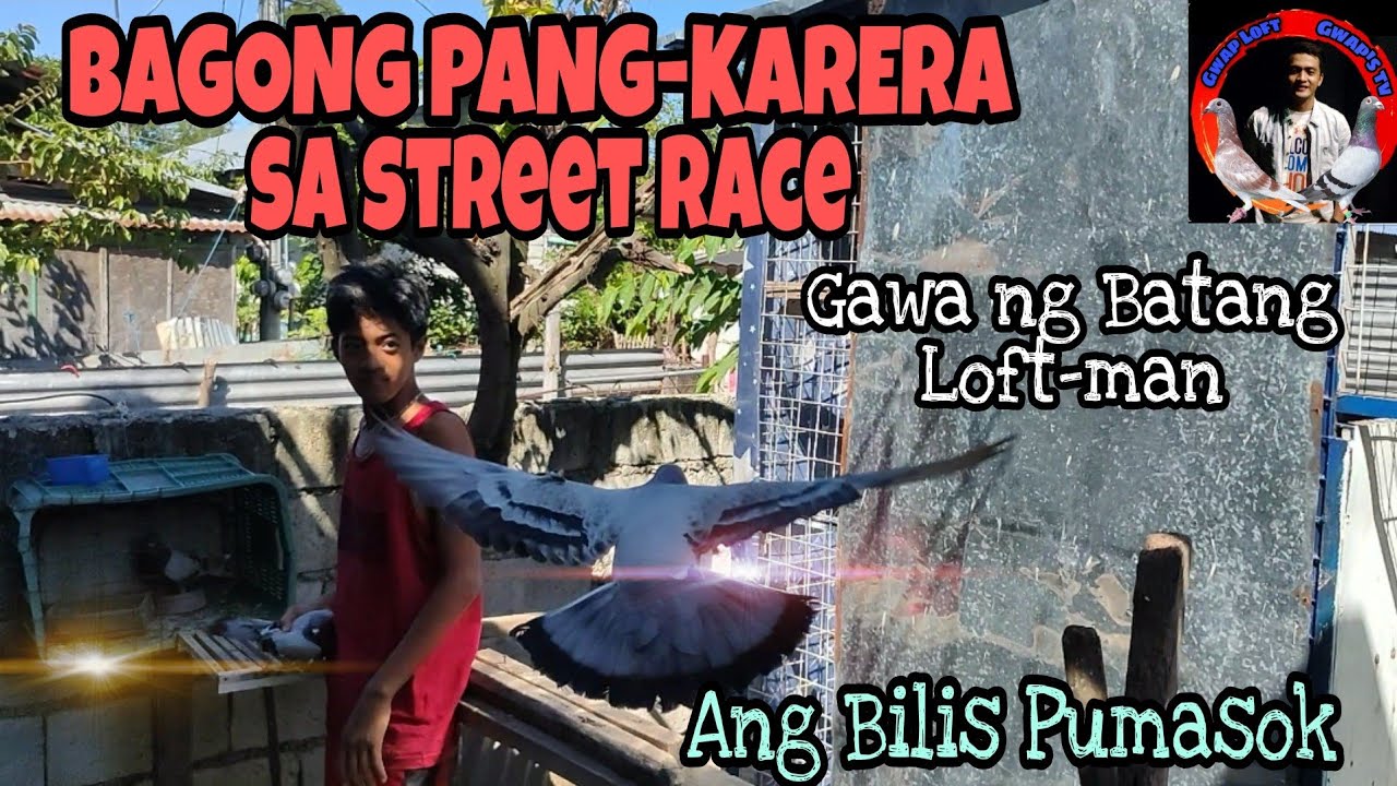 BATANG LOFTMAN MAY BAGONG PANG-KARERA | KARERA NG KALAPATI | STREET RACE NA ITO | LUPIT NG IBON