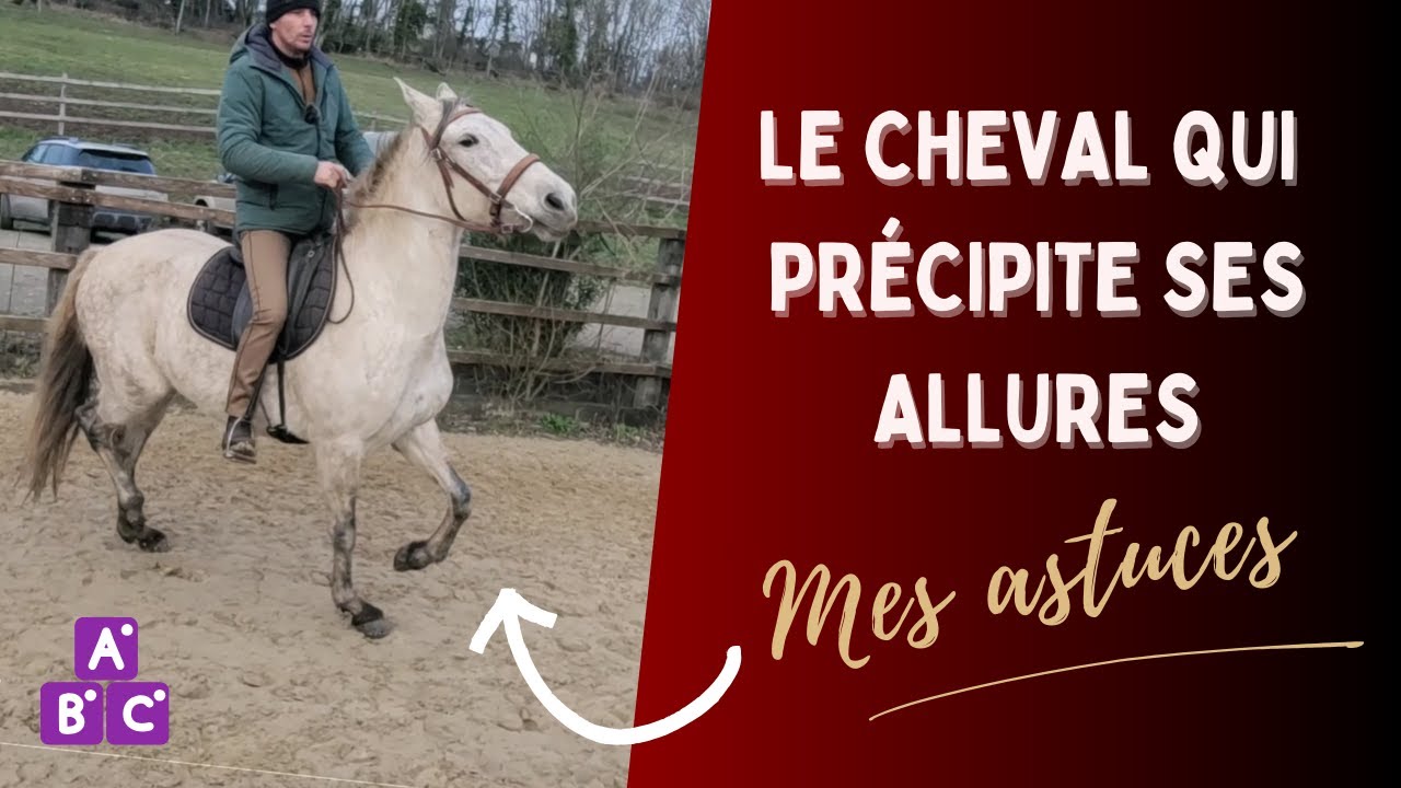 ⭐Cas concret : le cheval qui pr&eacute;cipite, qui chauffe, comment r&eacute;gler le probl&egrave;me !⭐