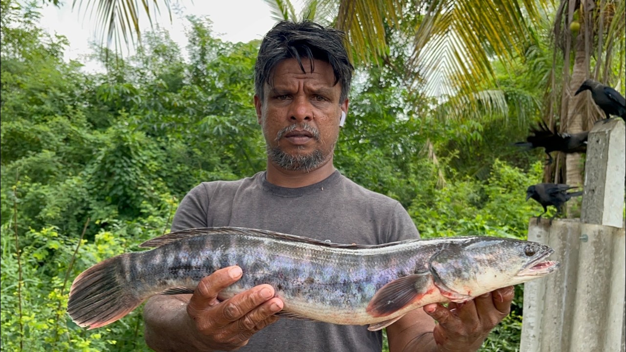 Rare Footage! Rural Hidden Village Fish Market Bustles with Life