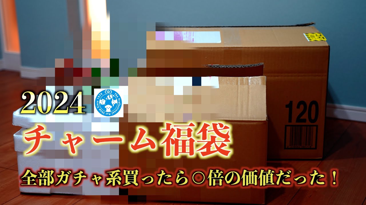 【福袋ガチャ】2024チャーム福袋でガチャ要素ばかり買ってみた。