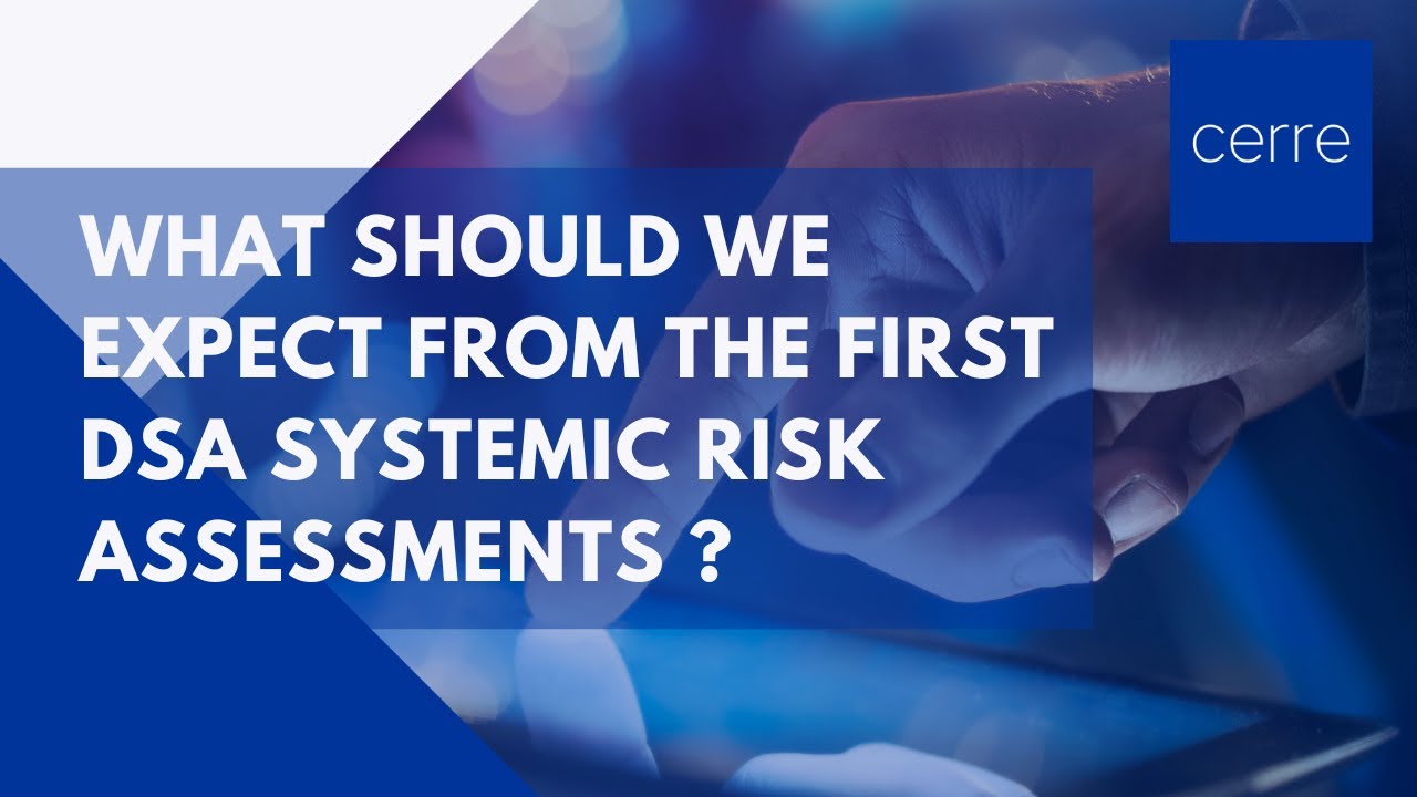 What Should We Expect from the First DSA Systemic Risk Assessments ?