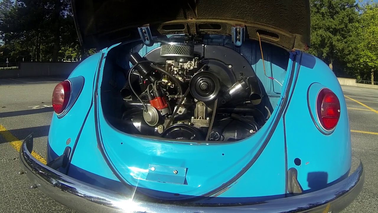 How much does it cost to restore a bug?