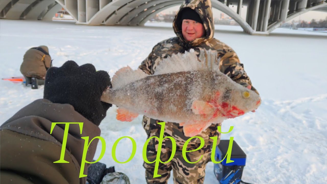 Окунь гигант,налимий день,Димона С Днюхой!!!