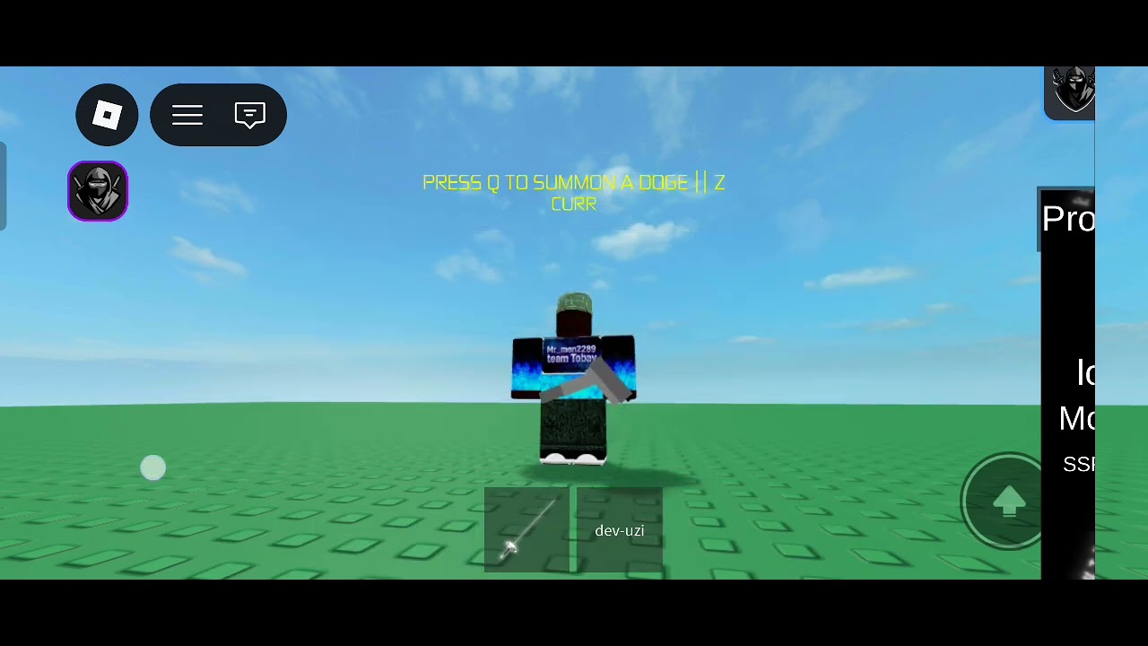 Show 