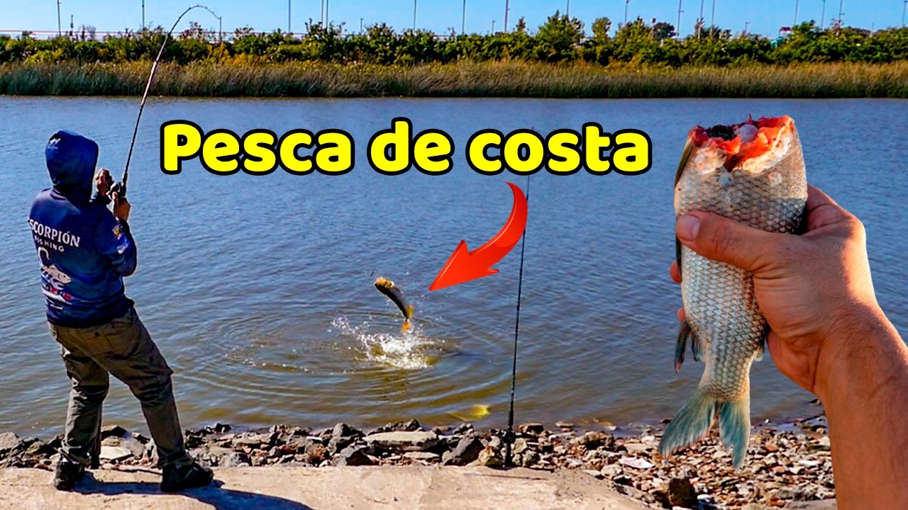 PESCA en el 