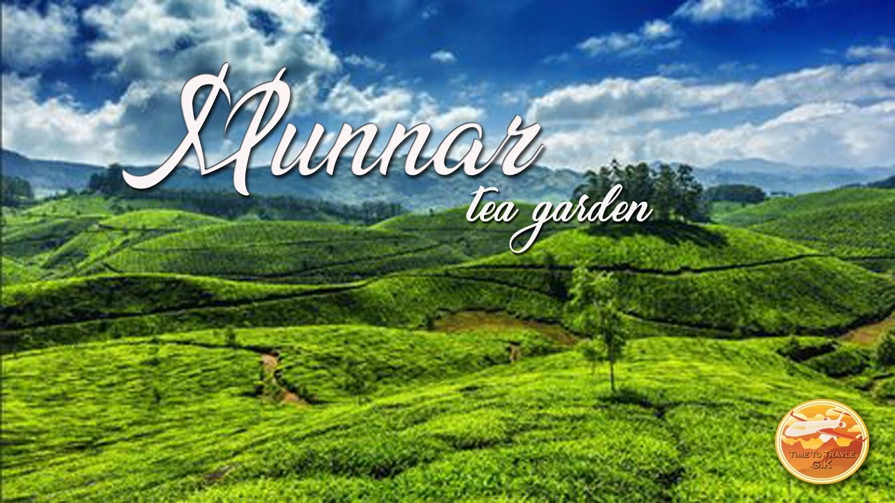 Tea Garden Munnar || Tea Garden | Munnar Kerala |beutiful | #kerala #munnar