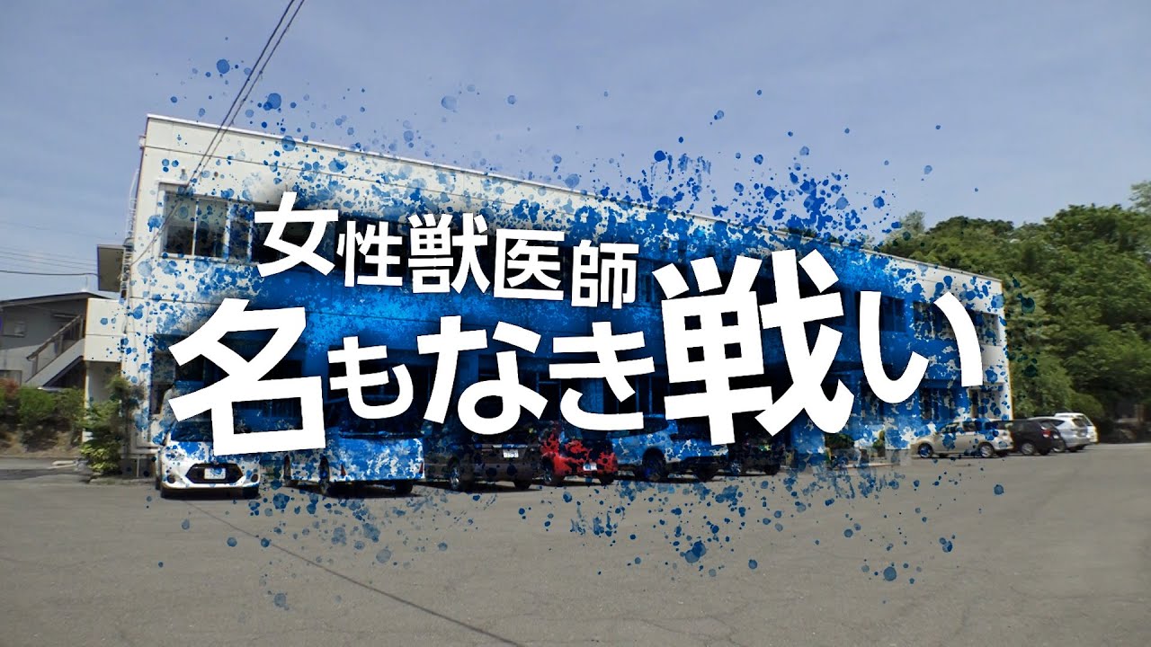 女性獣医師名もなき戦い
