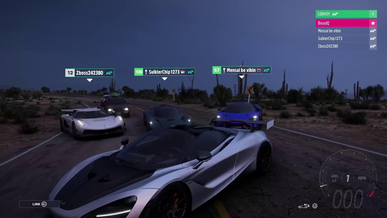 Forza Horizon 5 Cruise Park Race