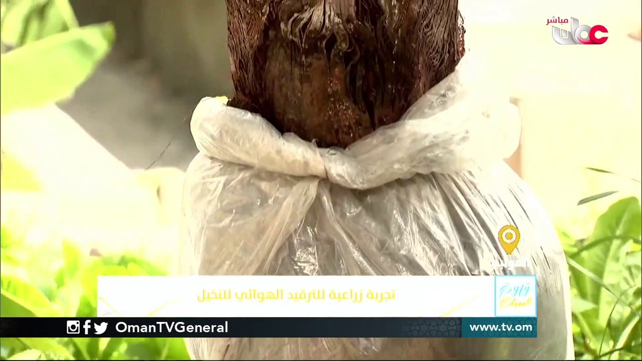ربط مباشر من ولاية 