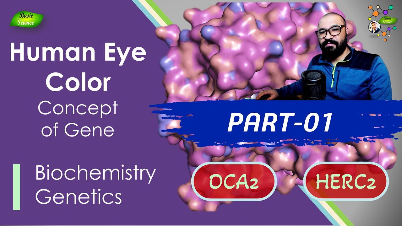 Human Eye Color Lecture | PART-1 | Highlight | Genes | OCA2 | HERC2 | Basic Science Series