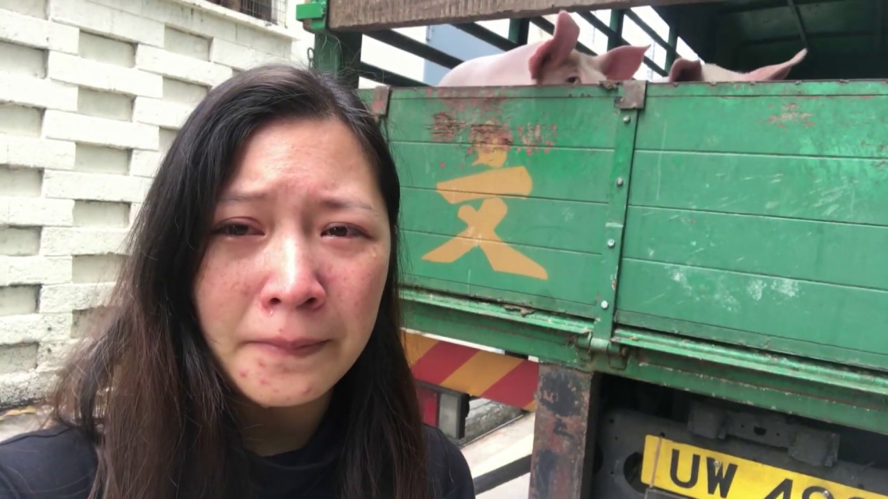 純素者在屠房外淚崩 Vegan Cried Outside the Abattoir