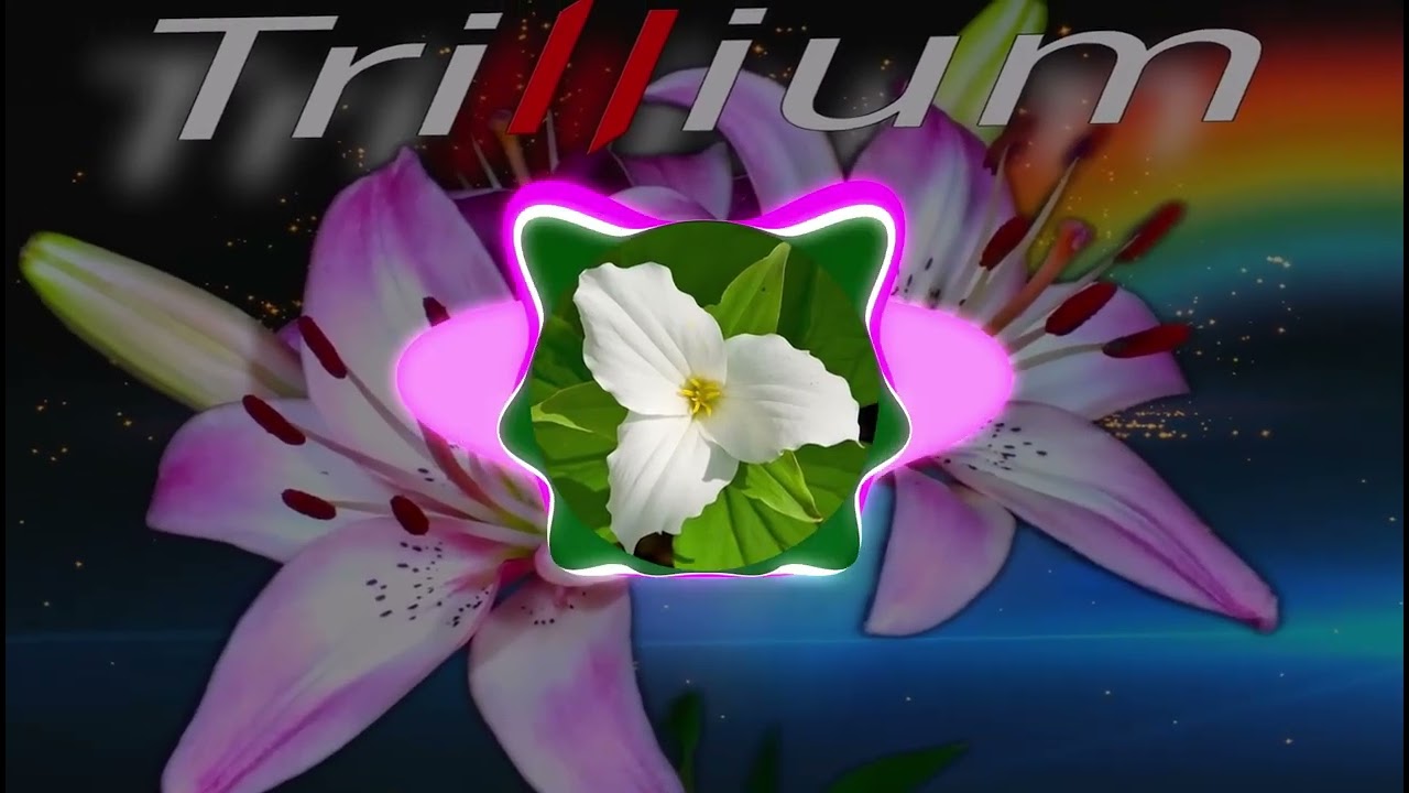 Trillium - S3RL feat Sara (speed up)