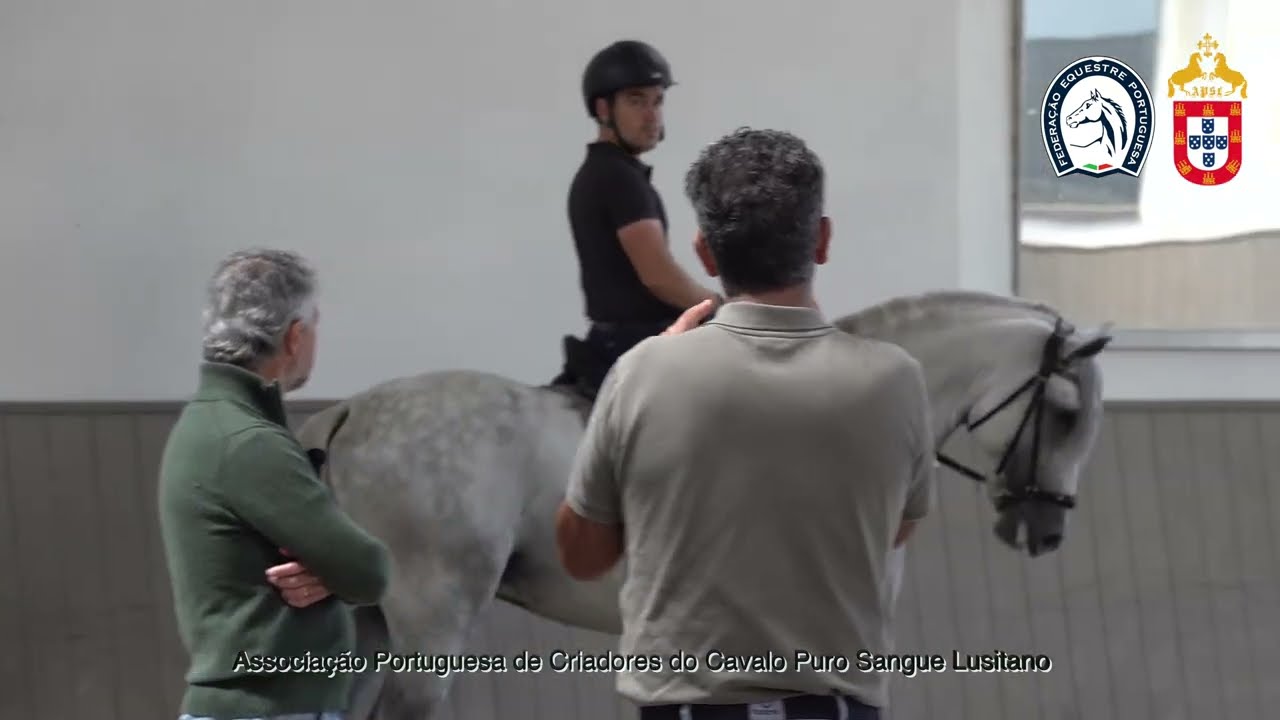 250724 2 Projeto de Ensino APSL&FEP - Fabio Silva com Perfeito dos Concelhos