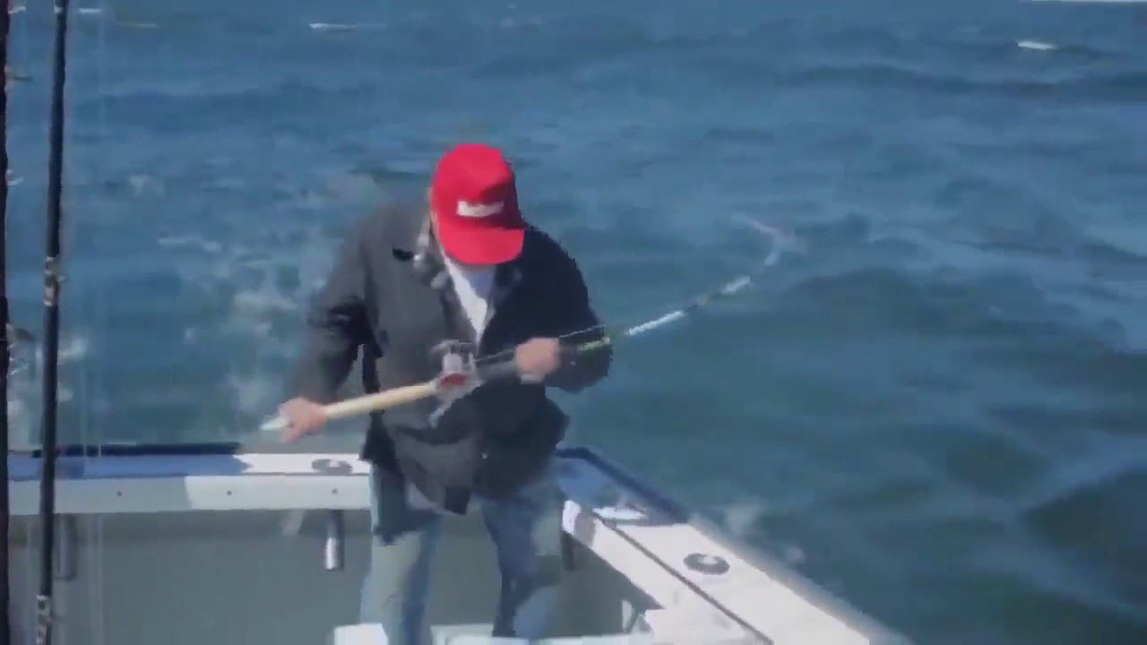 People getting pulled into the water by fish