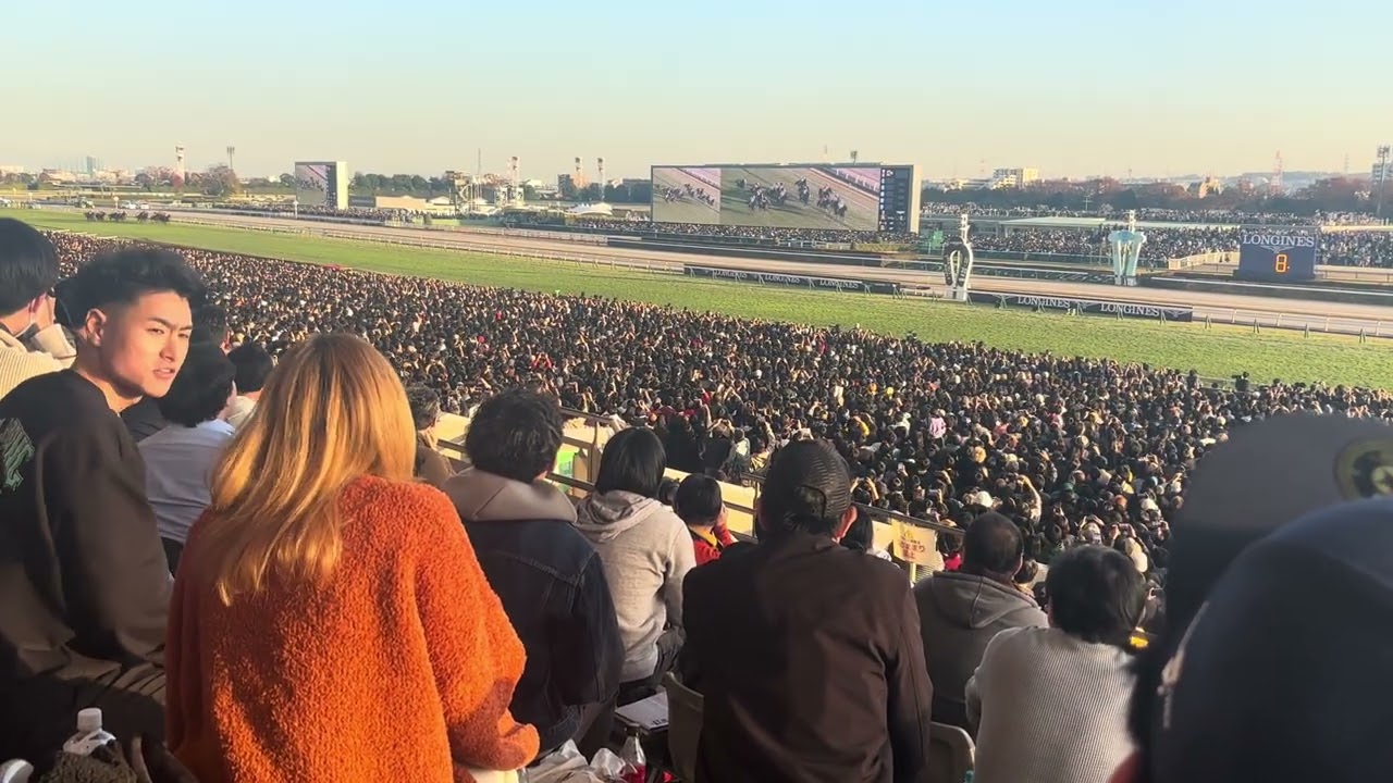 ジャパンカップ2025 東京競馬場　カランダガンvsマスカレードポール