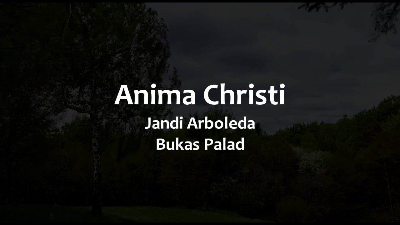 Anima Christi Instrumental