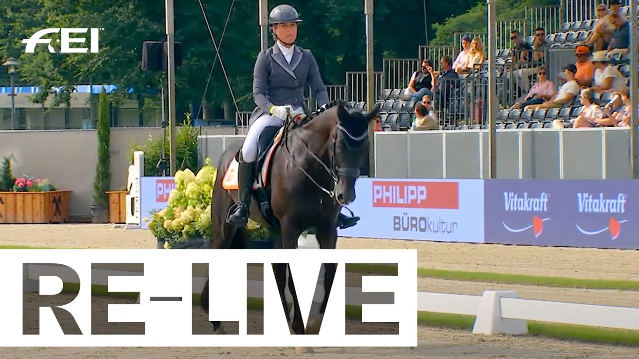 Small Final 7 yo horses I Longines FEI WBFSH Dressage World Breeding Championship for Young Horses