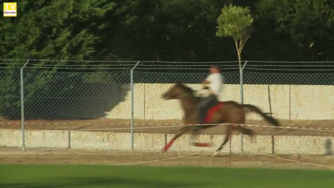 corrida de cavalos festa 10