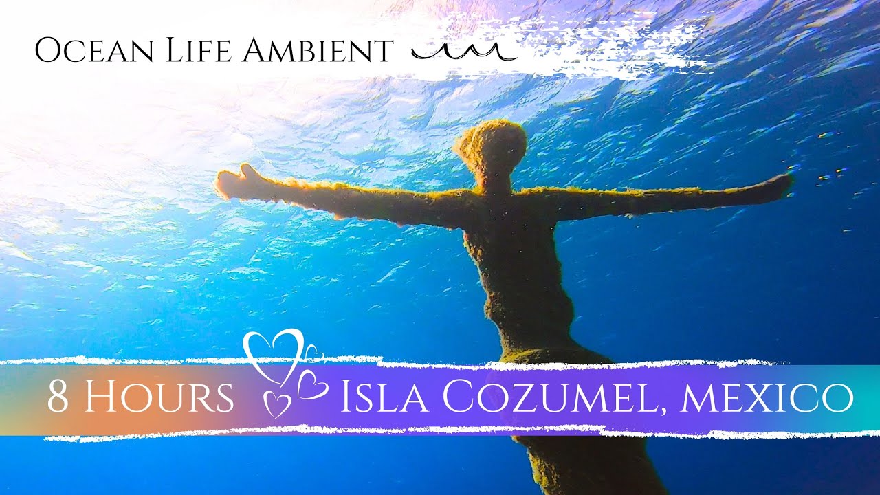 Amazing Caribbean Ocean Views ! 8 Hours of Isla Cozumel, Mexico (Chankanaab Adventure Park)