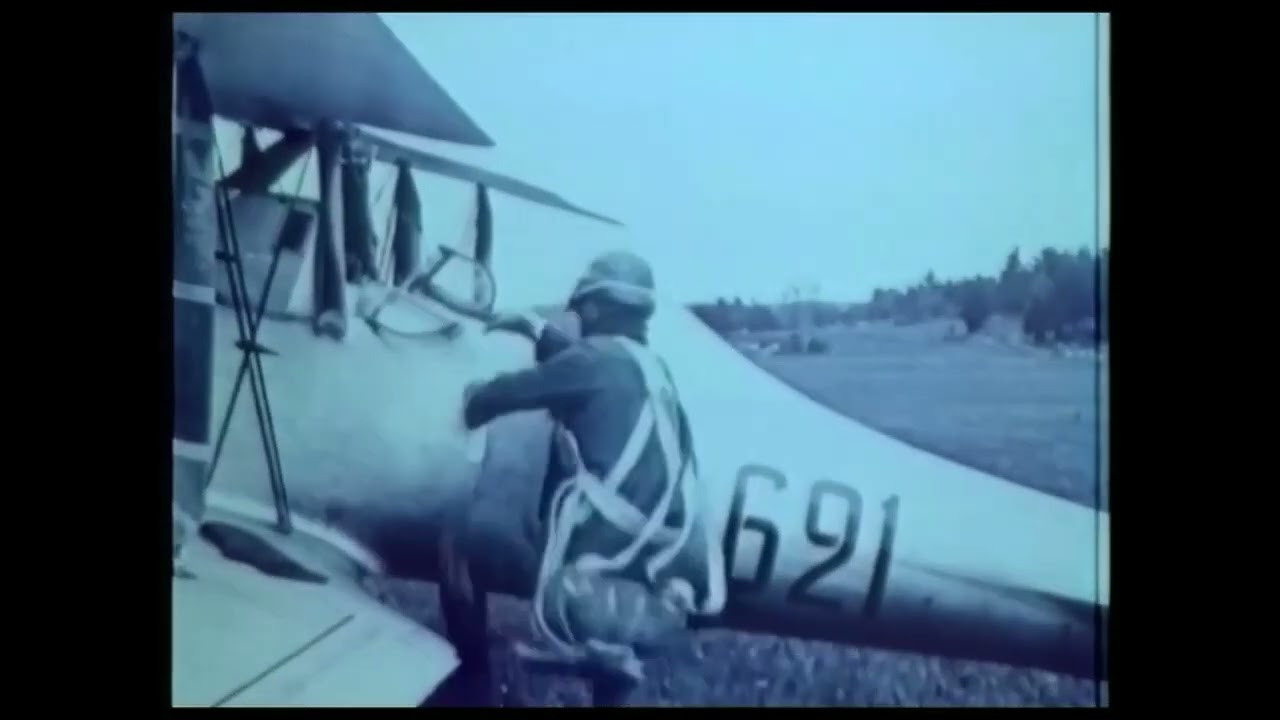 swedish air force/svenska flygvapnet jaktflygplan J 2