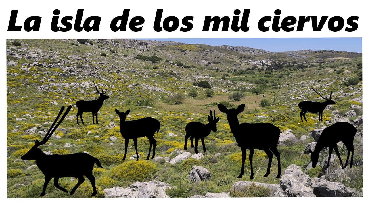 La isla de los mil ciervos. Descubre la Creta prehistórica