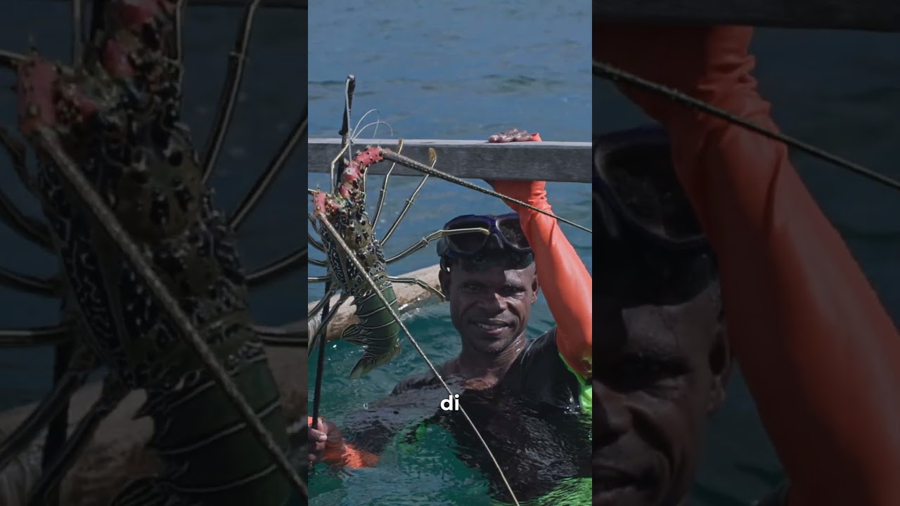 Egek | Konservasi tradisional #papua