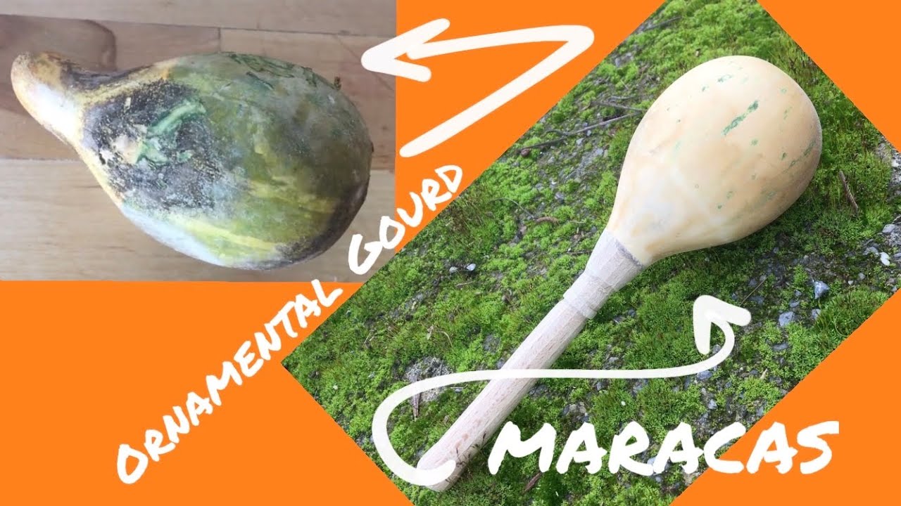 Süs Kabağından Marakas Yaptım / I made a maracas from gourd