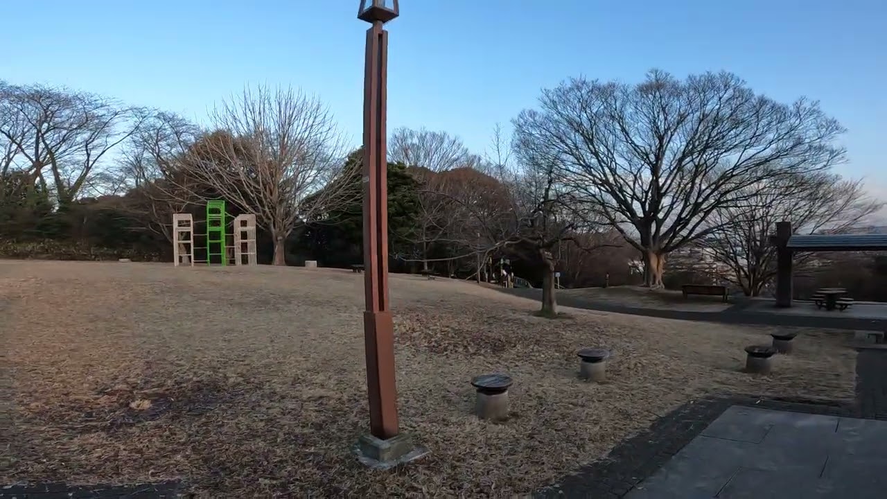 今朝の三ツ沢公園Vol841