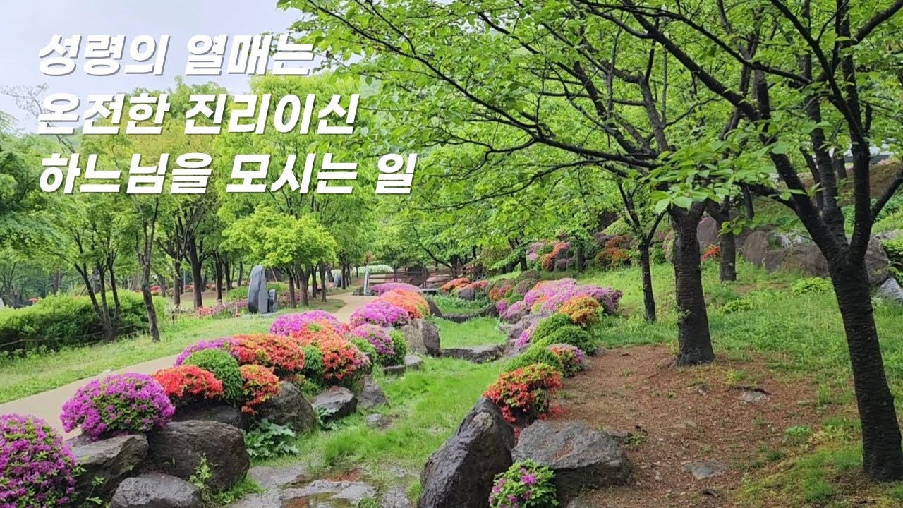 성령의 열매는 온전한 진리이신 하느님을 모시는 일  134OD  pc