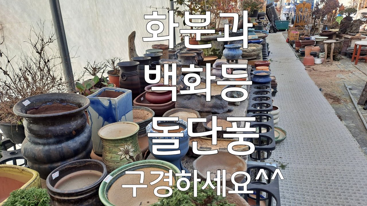 화분/백화등/돌단풍/게이비붓꽃/학돌/절구/기와/옹기/물확/010-2750-0326