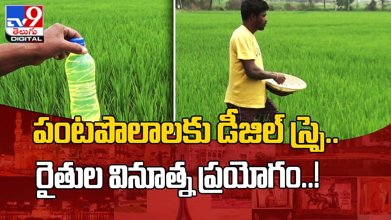 పంటపొలాలకు డిజీల్‌ స్ప్రె..రైతుల వినూత్న ప్రయోగం..! - TV9