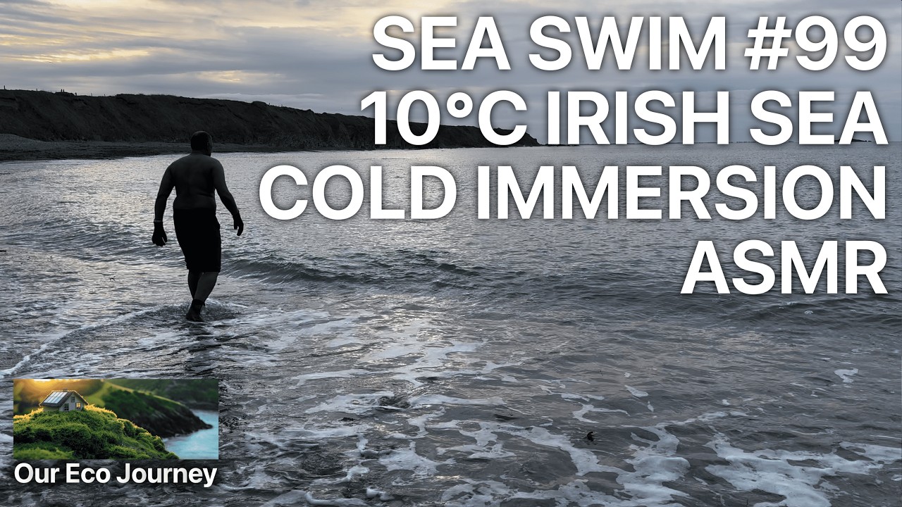 Cold Water Immersion ASMR | Sea Swim #99 at Bannow Beach | 10°C Irish Sea [Real-Time Nature Sounds]