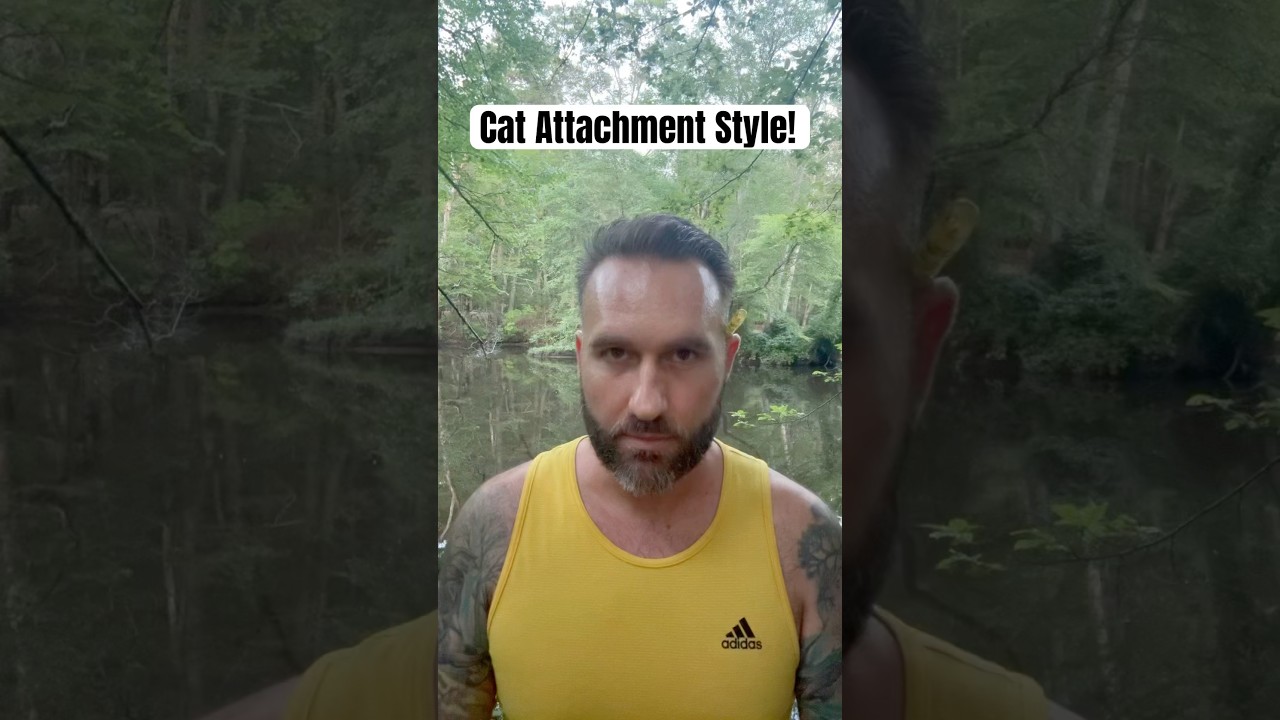 Cat Attachment Style! #shorts #attachment #attachmentstyles #avoidant #emotionallyunavailable #BPD