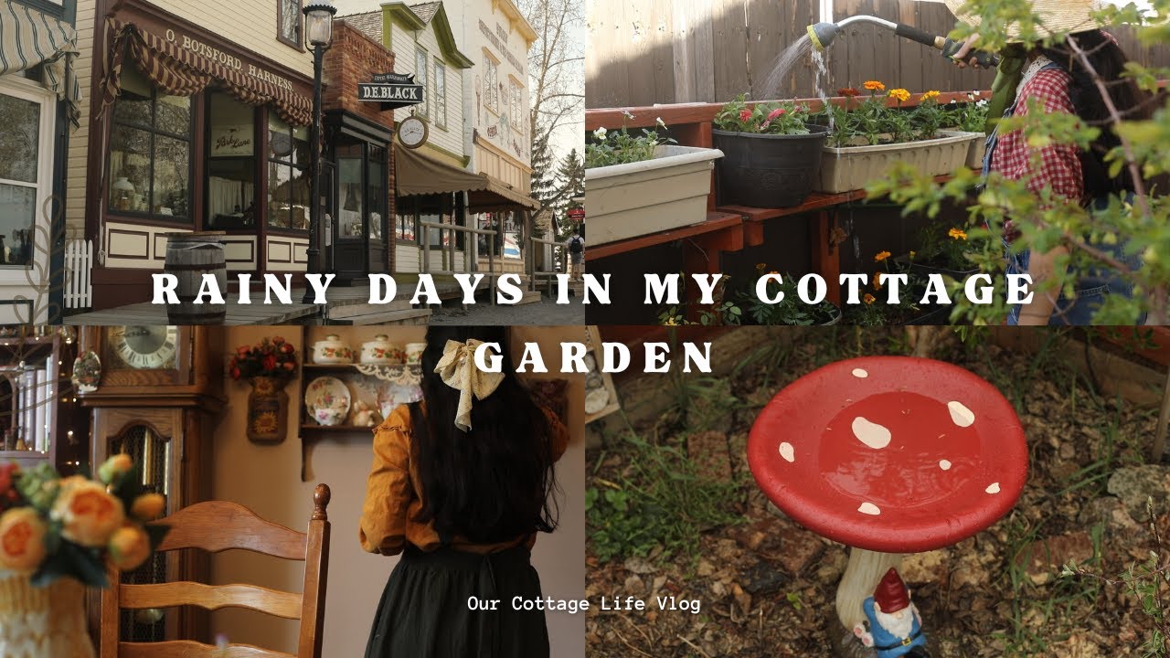 Rainy Days In My Cottage Garden 🌧️ 🪴 | Slow Days Gardening 🌹🌸