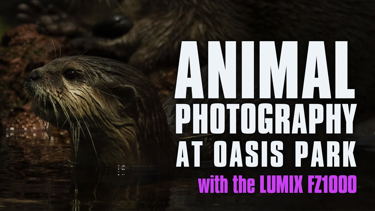 Photography at Oasis Wildlife Park | Panasonic Lumix FZ1000