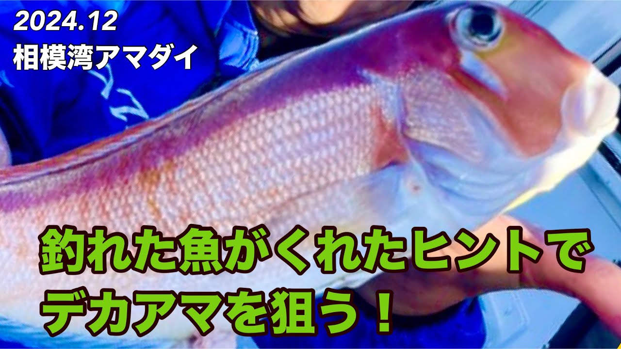 相模湾アマダイ！釣れるヒントは魚達自身が持っている！