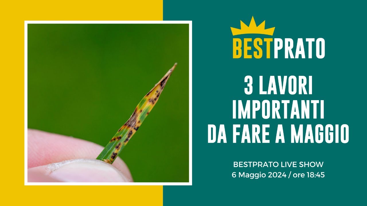 3 LAVORI IMPORTANTI DA FARE NEL PRATO A MAGGIO